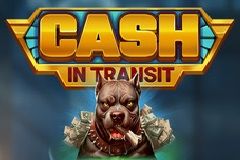 Cash in Transit