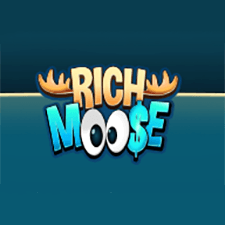Rich Moose Casino