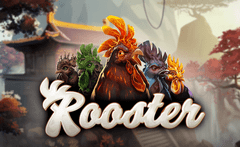 Rooster