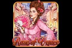 Rose of Venice