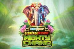 LottoStar Mighty Chang®