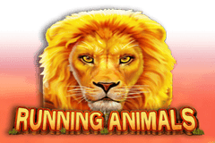 Running Animals