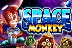 Space Monkey