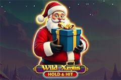 Wild Xmas Hold & Hit