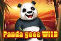 Panda Goes Wild