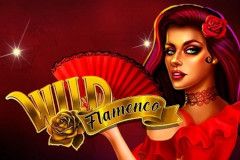 Wild Flamenco