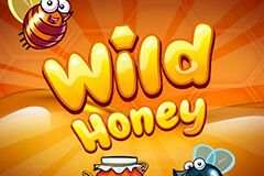 Wild Honey Wild Honey