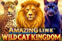 Amazing Link WildCat Kingdom™