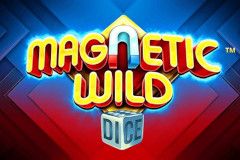 Magnetic Wild Dice™