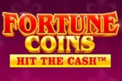 Fortune Coins™