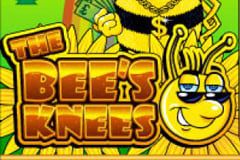 The Bees Knees The Bees Knees