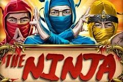 The Ninja
