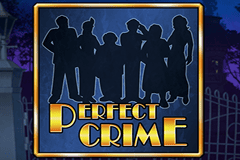 The Perfect Crime