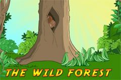 The Wild Forest