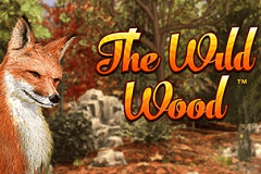 The Wild Wood