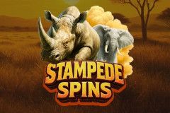 Stampede Spins