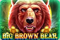 Big Brown Bear