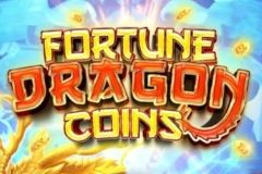 Fortune Dragon Coins