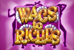 Wags To Riches