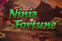 Ninja Fortune