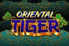 Oriental Tiger