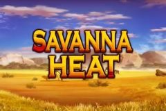 Savanna Heat