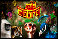 Wild Cobra