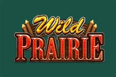 Wild Prairie