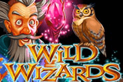 Wild Wizards Wild Wizards