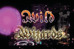 Wild Wizards Wild Wizards