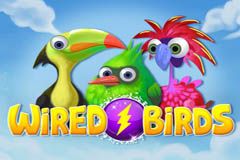 Wired Birds